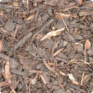 amenity-mulch-2-1