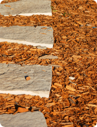 garden-bark-2