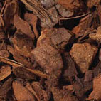 pine-bark-ornamental