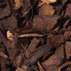 premium-ornamental