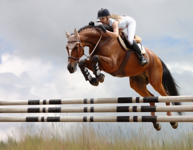 equestrian surfaces