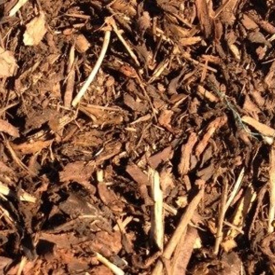 Medium Bark Mulch